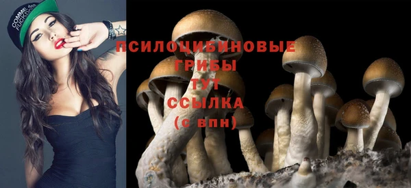 МДМА Заволжск