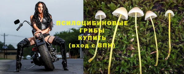а пвп мука Зеленокумск