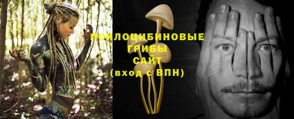 бутират Иноземцево