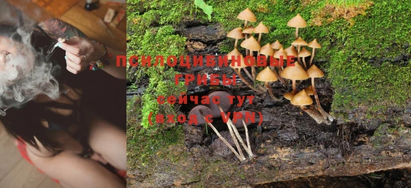 MDMA Дмитриев