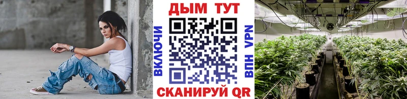 Марихуана Bruce Banner  Фрязино 